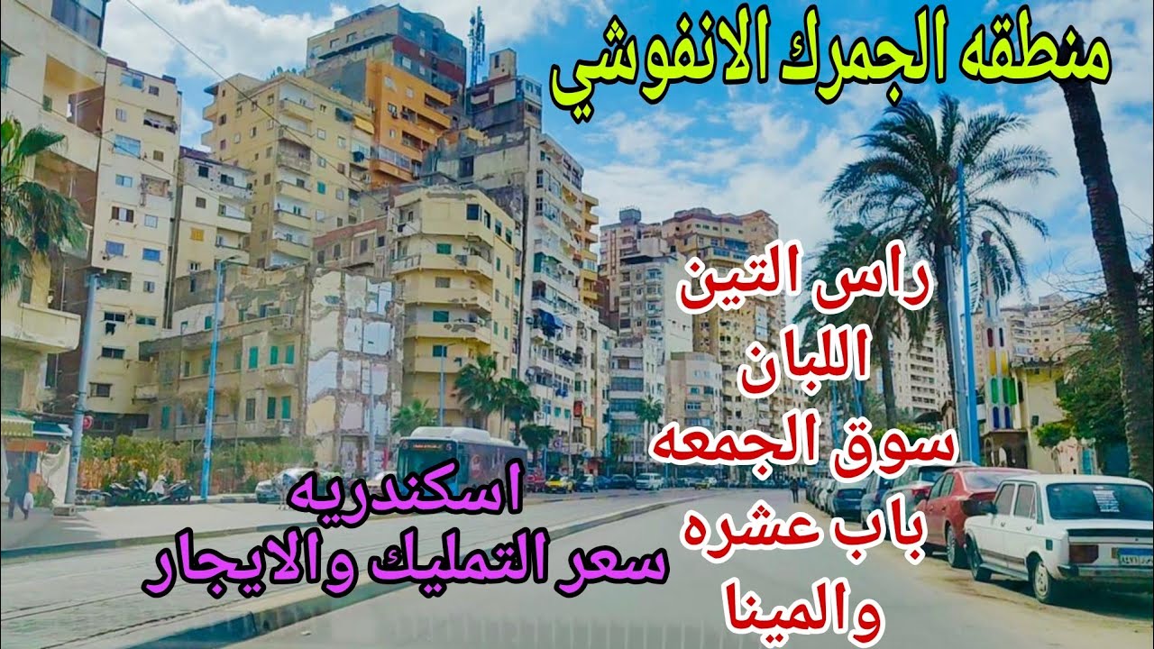 منطقه الجمرك الانفوشي باب عشره والمينا راس التين واللبان وسوق الجمعه اسكندريه ٢٠٢٦
