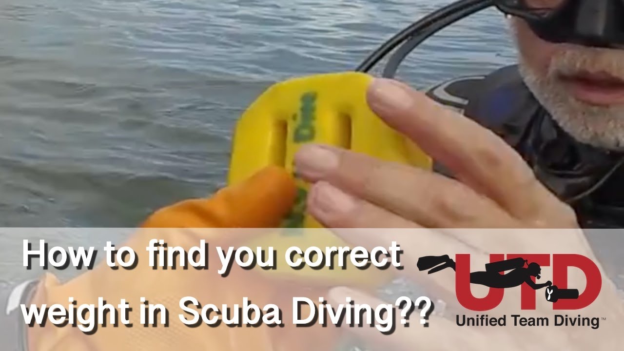 How to find your correct weight in scuba diving