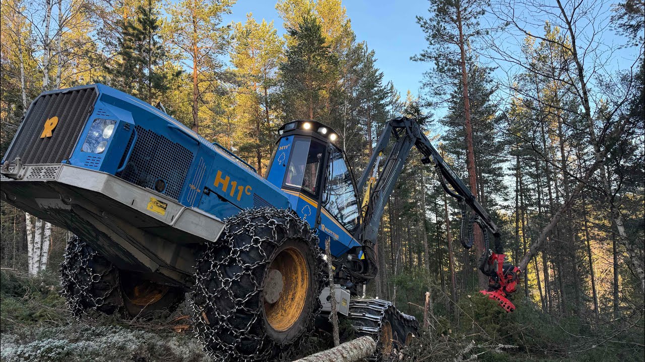 Rottne H11c thinning in Norway
