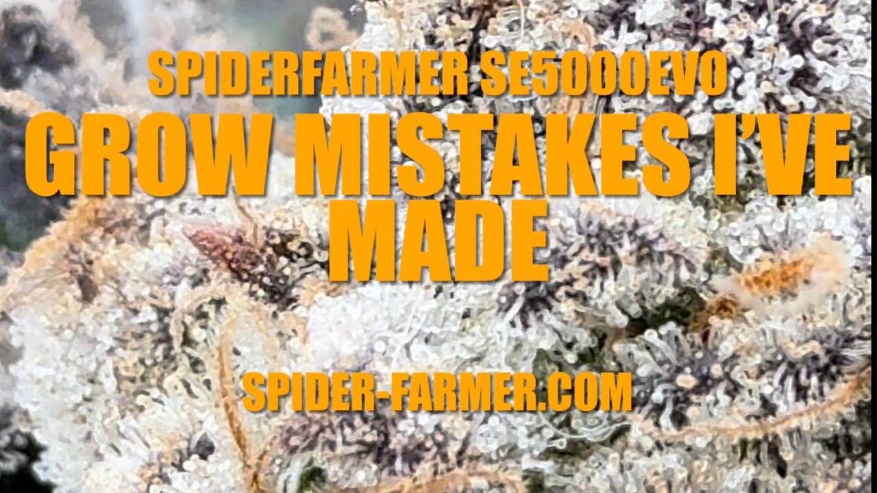 Grow Mistakes I’ve Made 2, Garden Update, SpiderFarmer SE5000EVO Grow Light