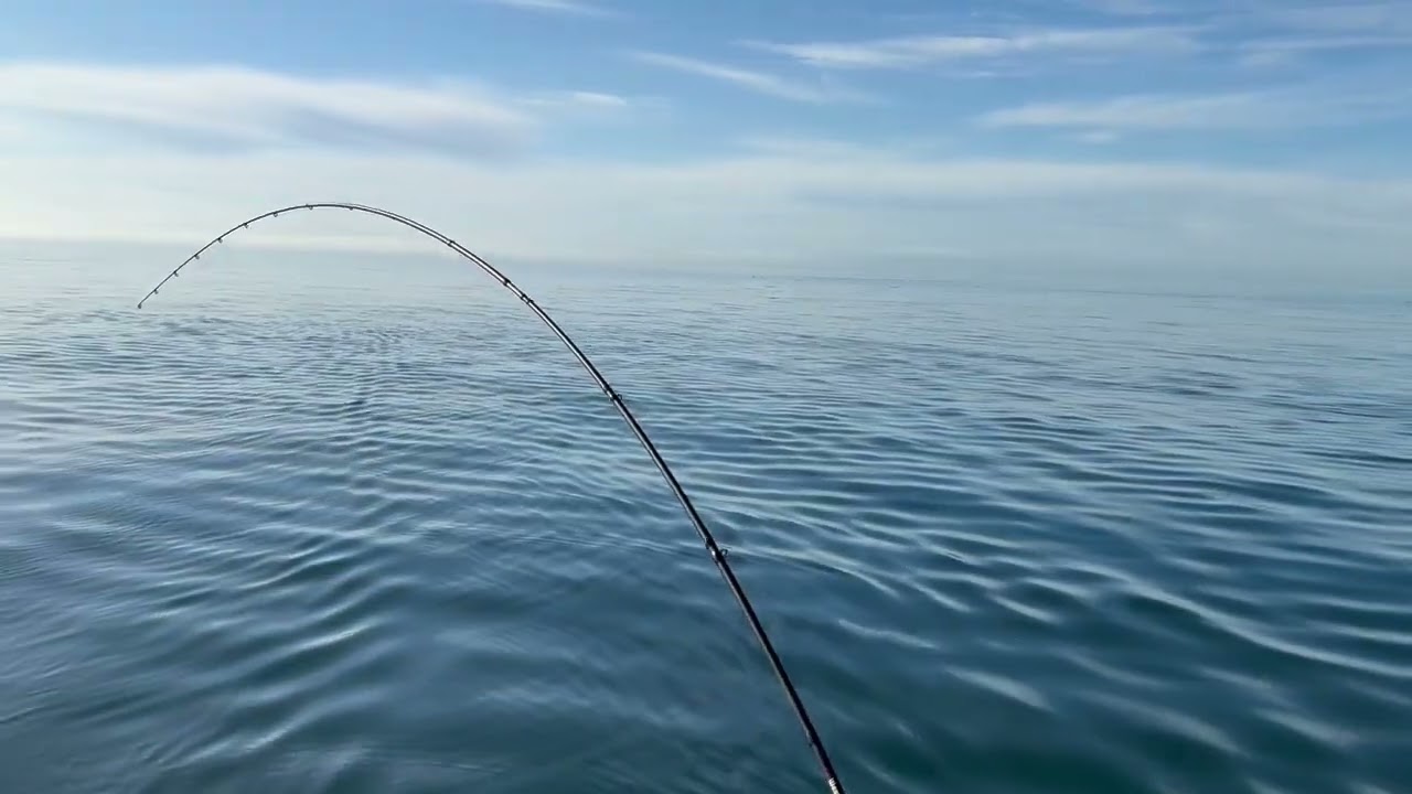 Beautiful Vancouver shot by drone