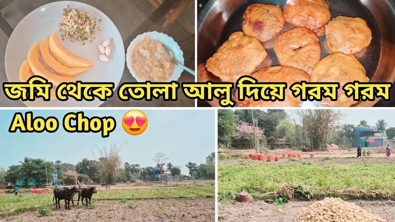 জমি থেকে তোলা টাটকা আলু দিয়ে মুচমুচে Aloo Chop..Snack.. How to make aloo chop #viral @NotunThikana1🙏
