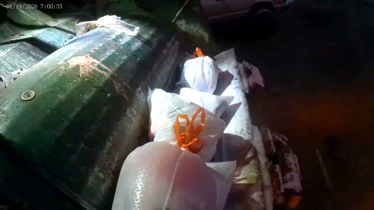 Monday trash pick up  (01/19/2026)￼