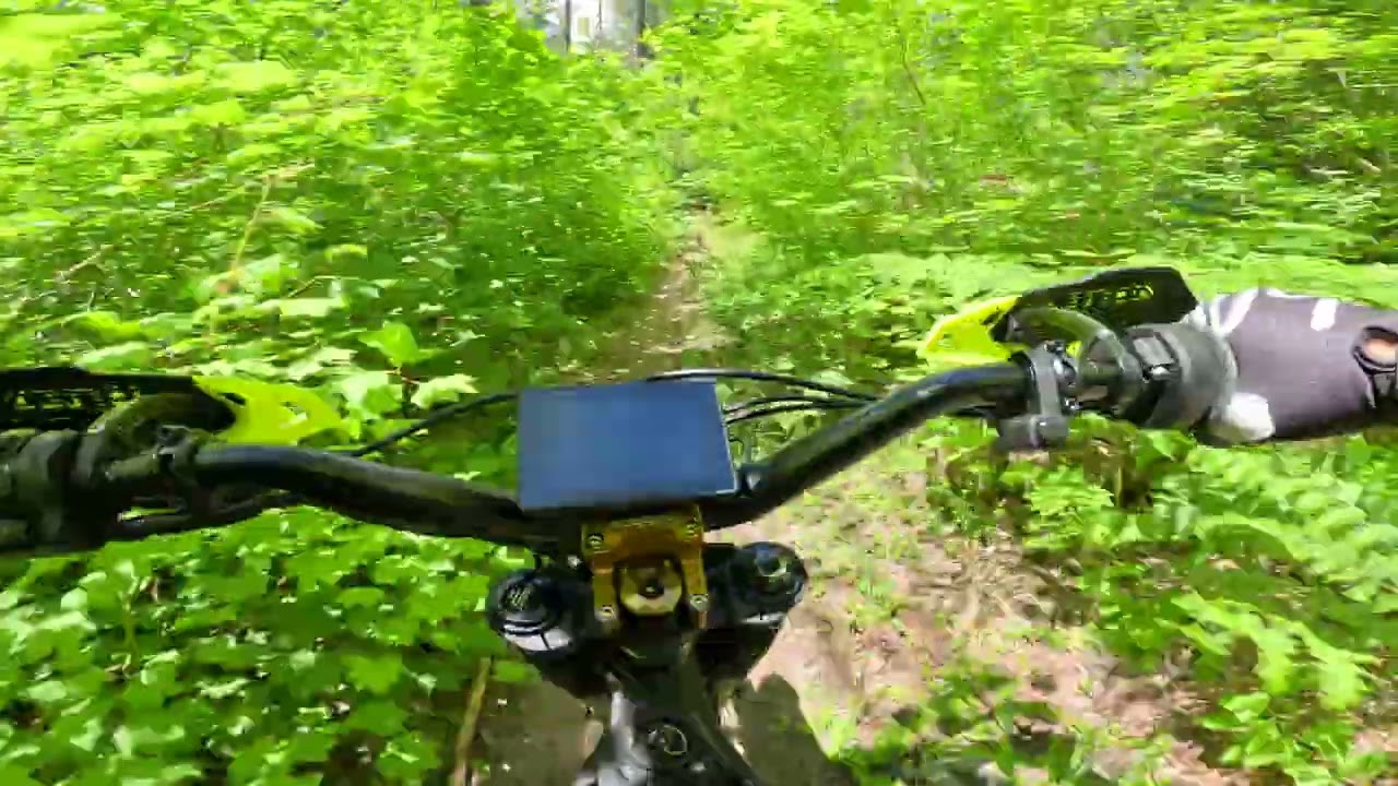 E-Ride Pro SS 2.0 - Expert Rider on Pacific Northwest Single Track Ride (IT RIPS!)