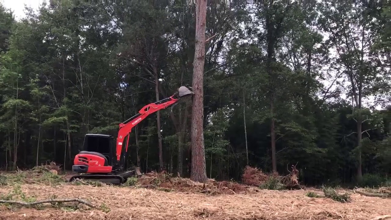 Kubota kx57 pushing over pine tree.