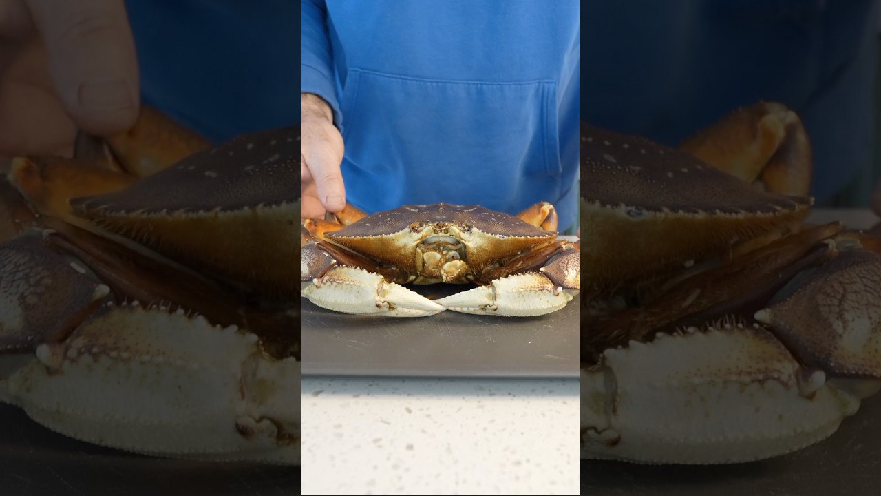 Freshest is Bestest; Dungeness Crab #seafood #crab #fresh