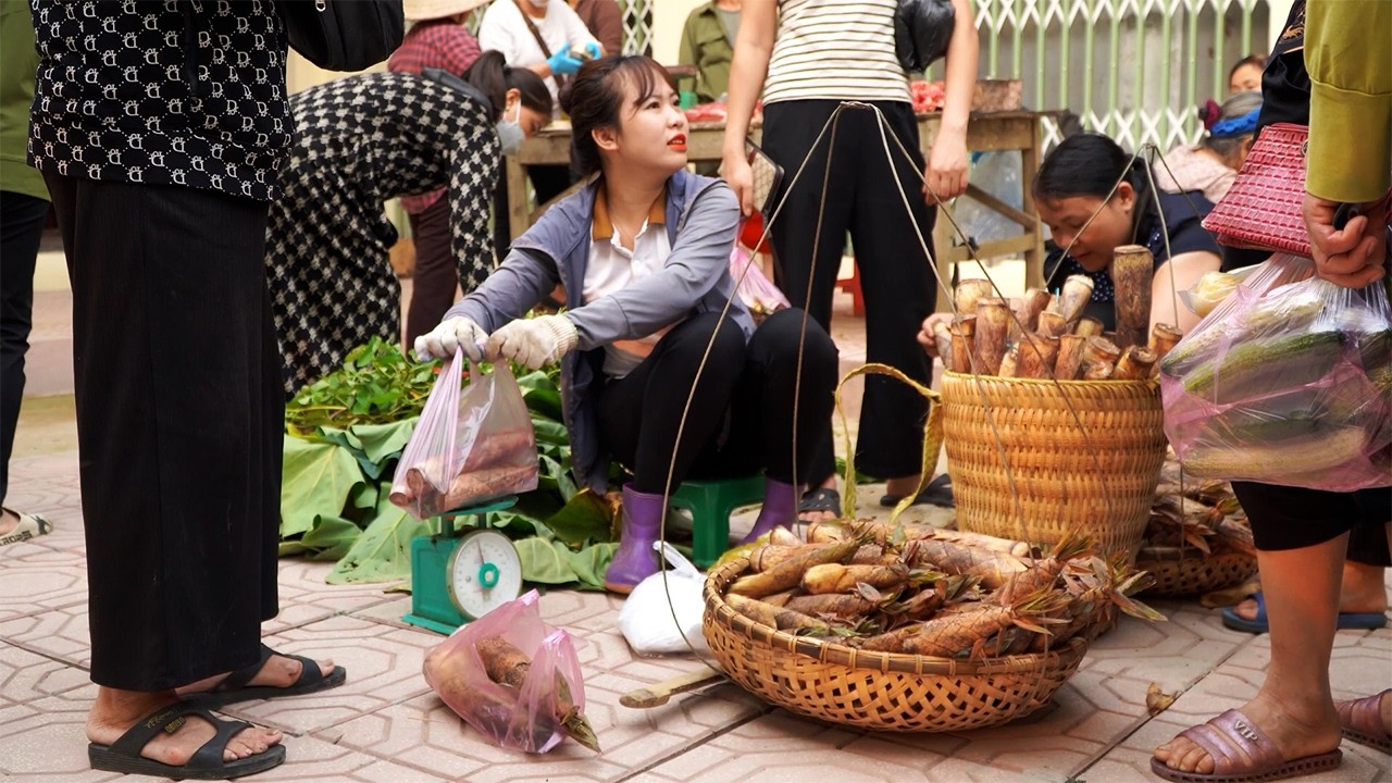 Harvesting Bamboo Shoots to Sell at the Market: Life in Harmony with Nature