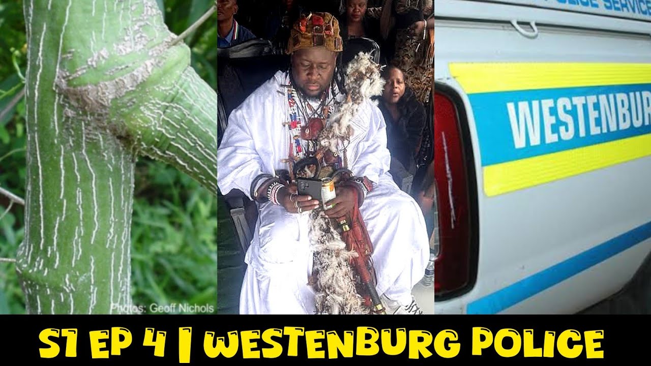S1 EP 4| Master kortes went live | Police case | Ghobela Lekganyane | R70k go Thekga motse | Wives