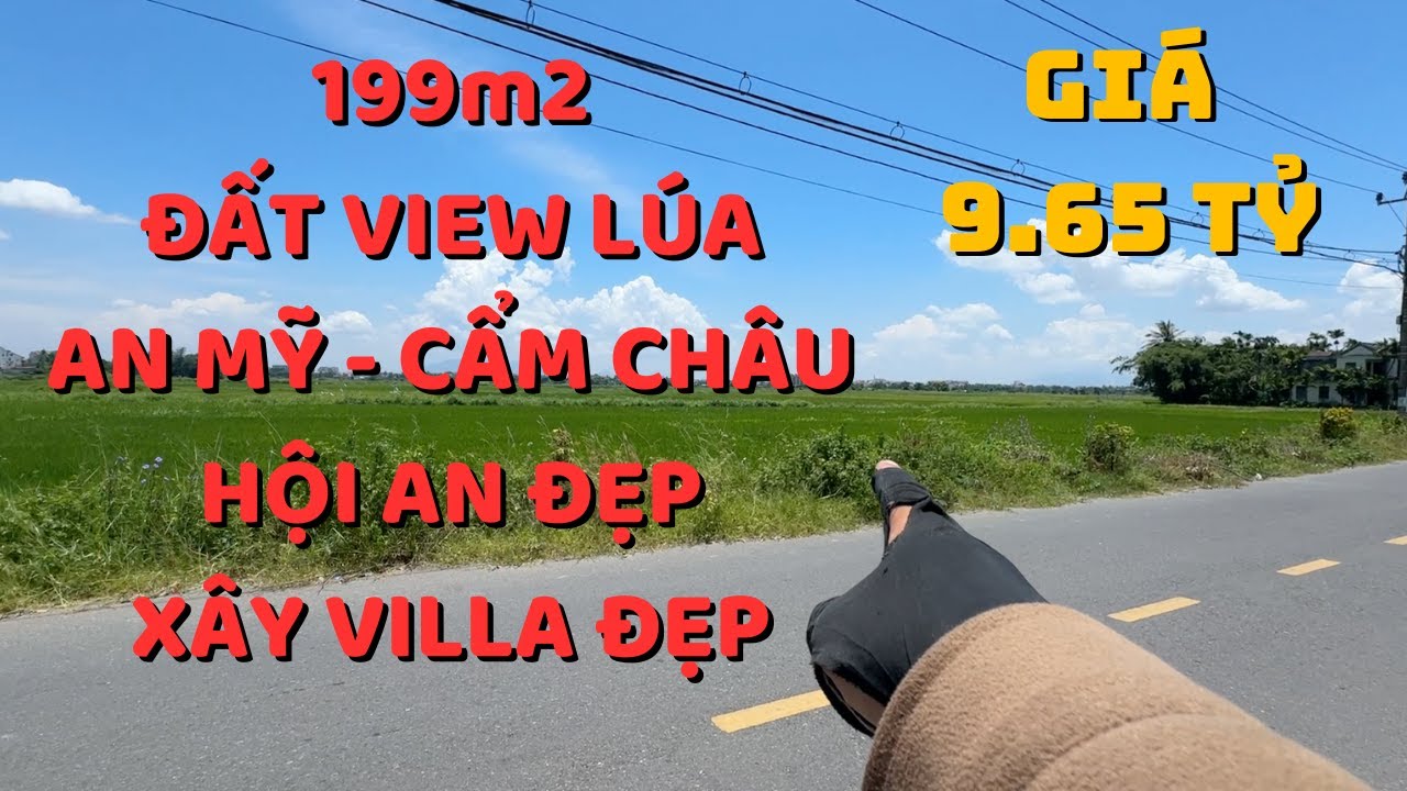 B&aacute;n đất Hội An 199m2 View l&uacute;a An Mỹ, Cẩm Ch&acirc;u, mặt tiền đường L&ecirc; Th&agrave;nh T&ocirc;ng, x&acirc;y villa KD tốt.