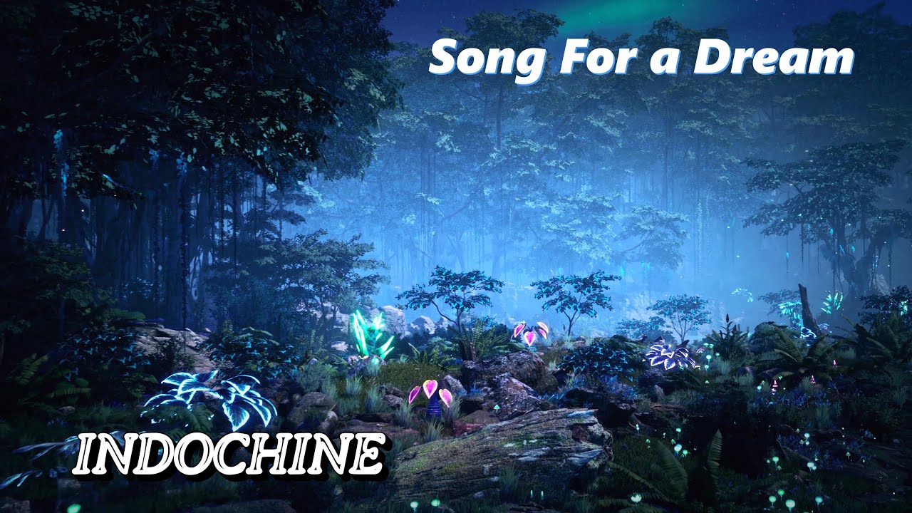 Song for a dream - INDOCHINE ( clip 4k )