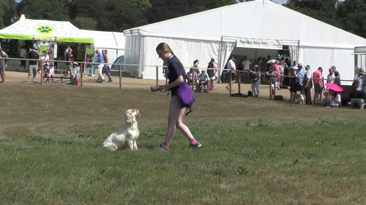Working Clumber Spaniel Society