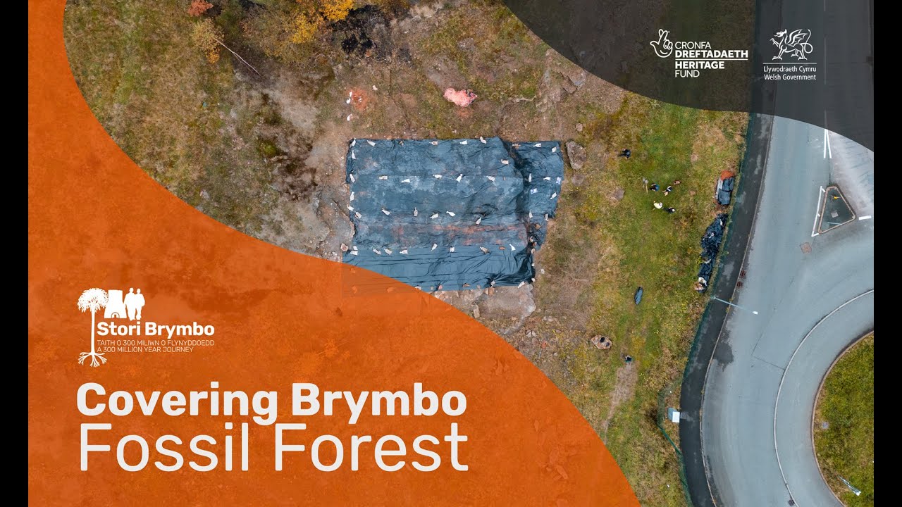 Fossil Forest Covering, Brymbo Heritage Trust
