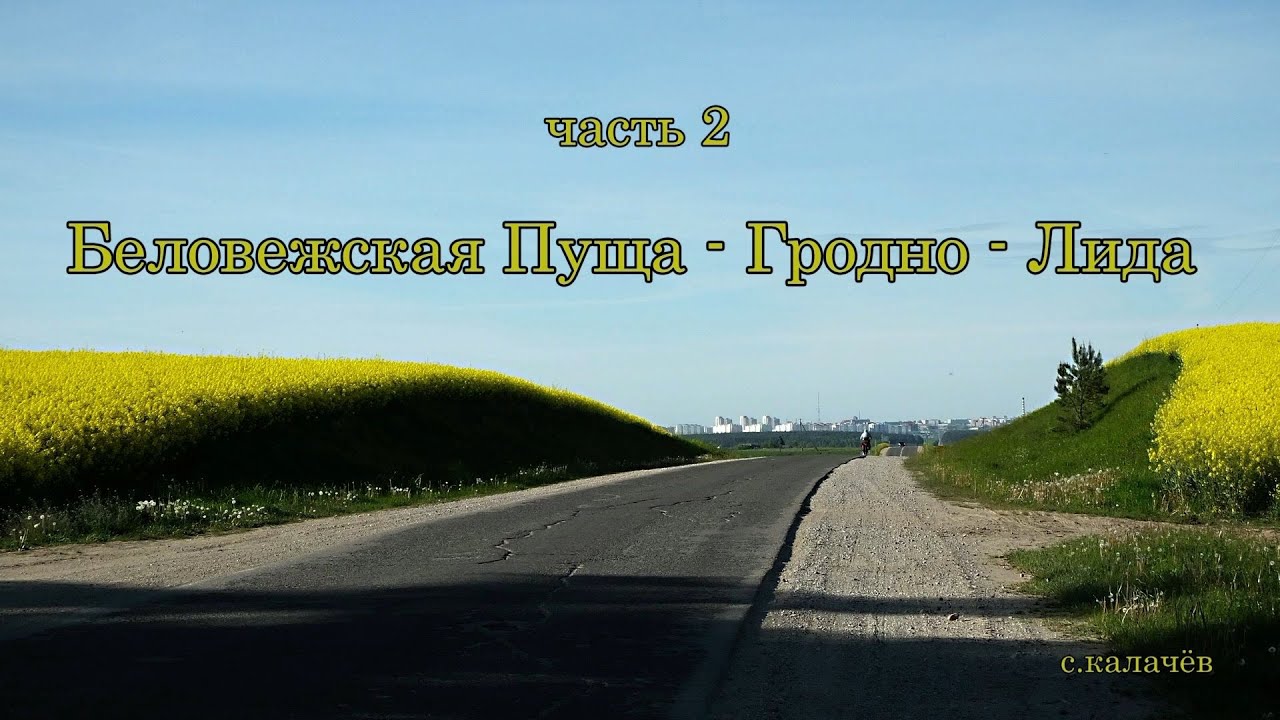 Велопоход  Беларусь. ч2. Беловежская пуща - Гродно. 2024