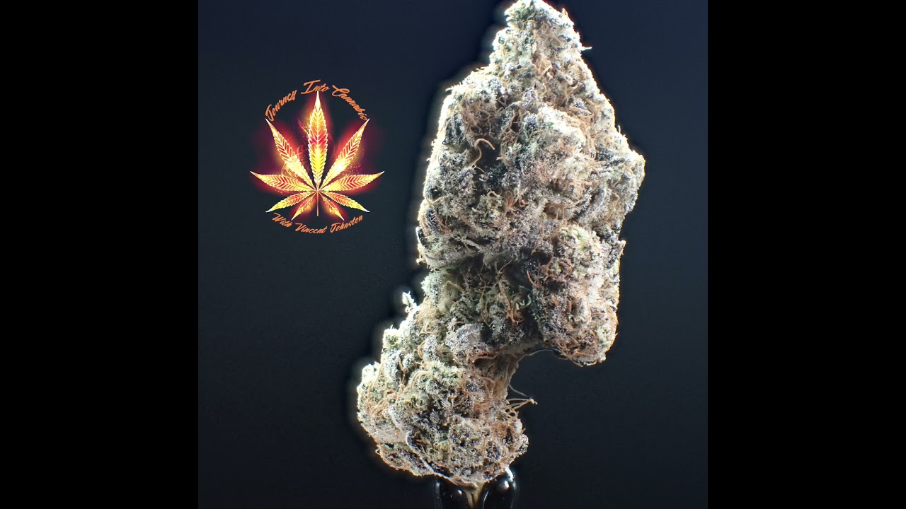 Journey Into Cannabis Presents: Fruity Pebbles OG Cultivar.
