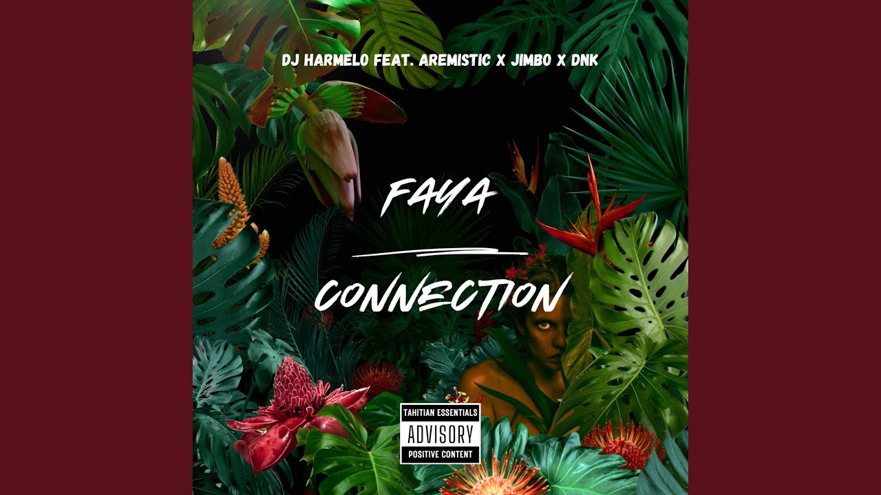 Faya Connection (feat. Aremistic, Jimbo & Dnk)