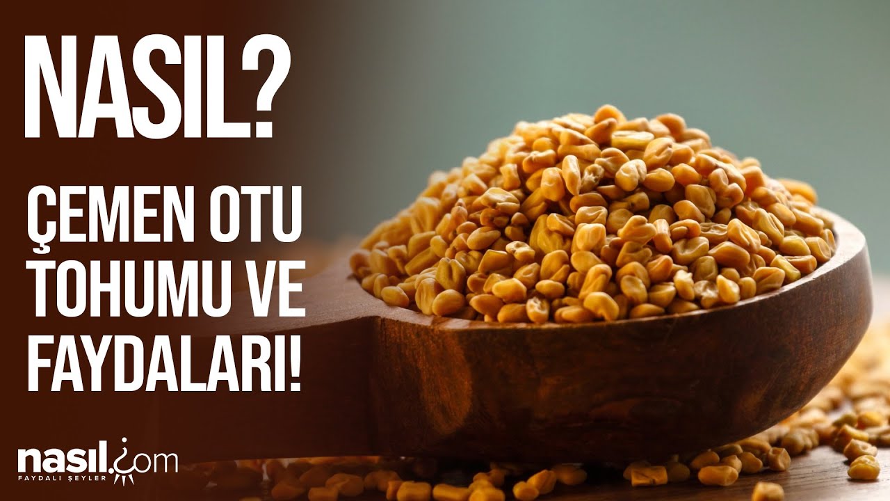 &Ccedil;EMEN OTUNUN FAYDALARINI BİLİYOR MUYDUNUZ? İŞTE T&Uuml;M Y&Ouml;NLERİYLE &Ccedil;EMEN OTU KULLANIMI! #&ccedil;emen #sağlık