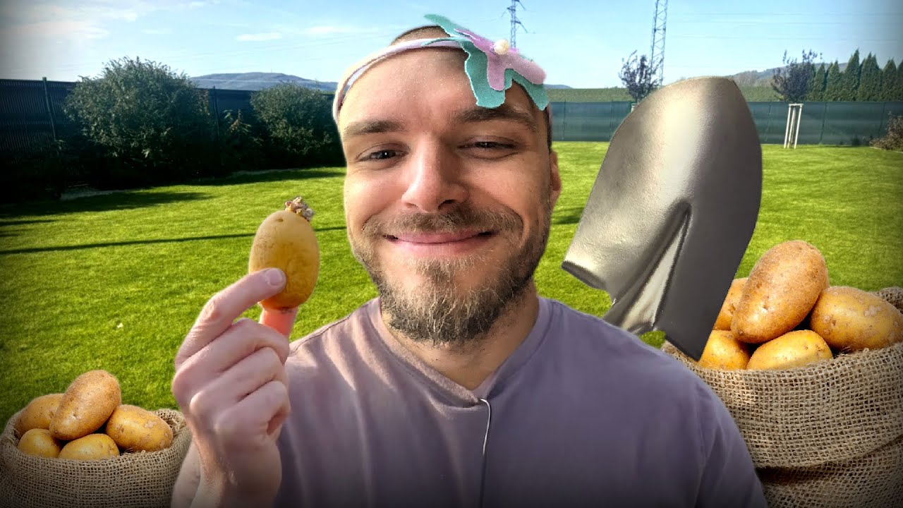 Restt & Maťo sadia zemiaky | IRL STREAM