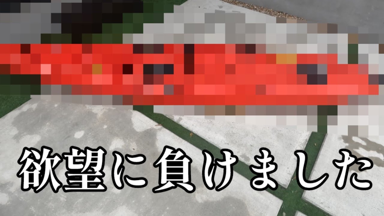 欲望に負け恐ろしい物を買ってしまったので紹介します【カヤックフィッシング】