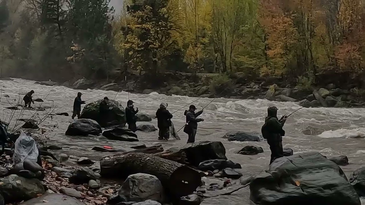 Tamihi High Water Flossing