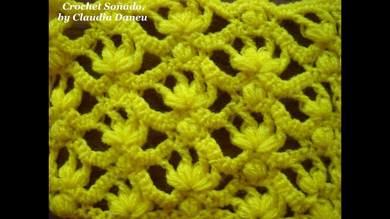 EMBROIDERED LACE CROCHET / ENCAJE BORDADO CROCHET
