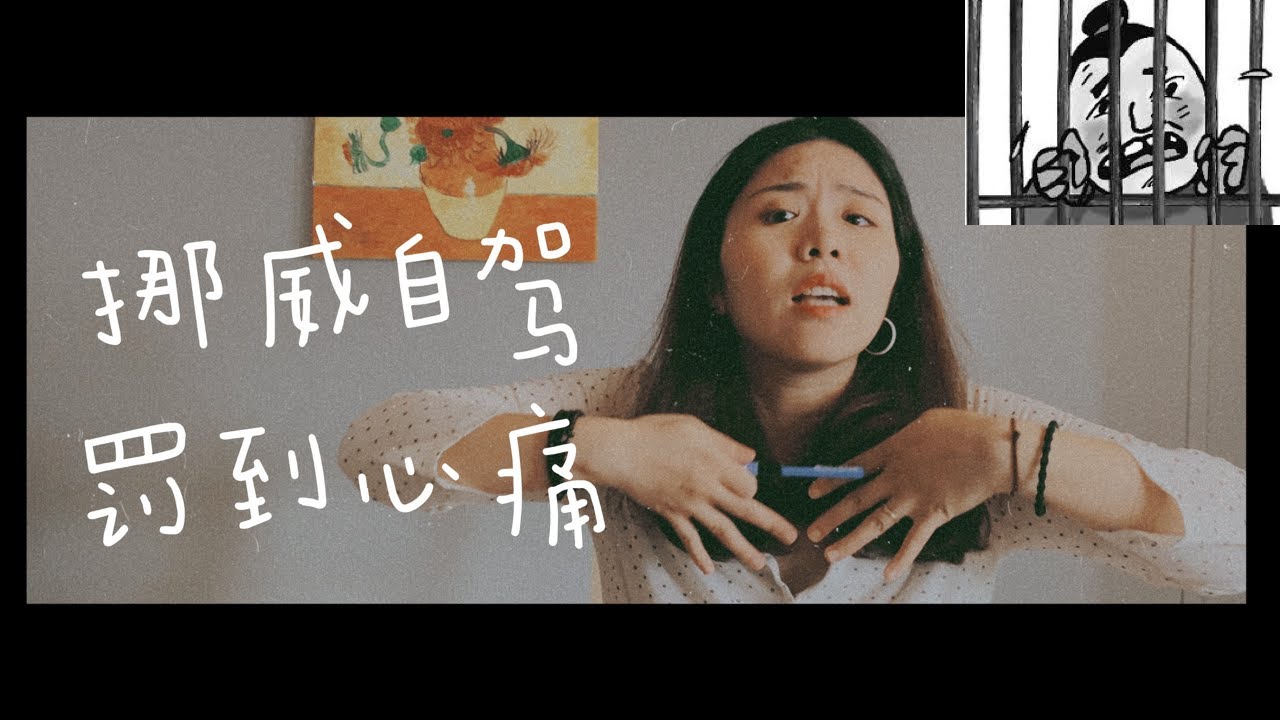 挪威自驾 罚得你妈都不认识 还要坐牢？！挪威开车注意事项以及罚单 | Driving in Norway & Expensive fines