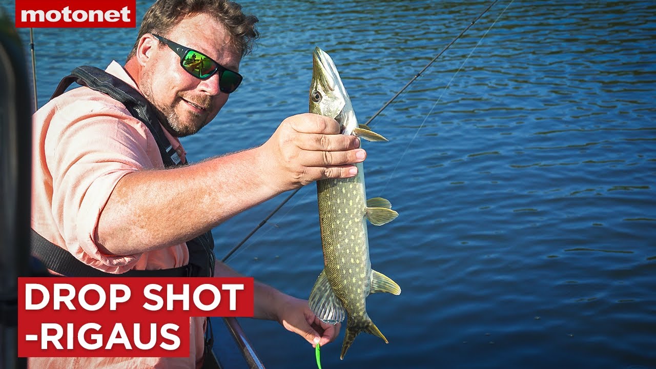 Drop shot -rigaus | Motonet-jigiopas