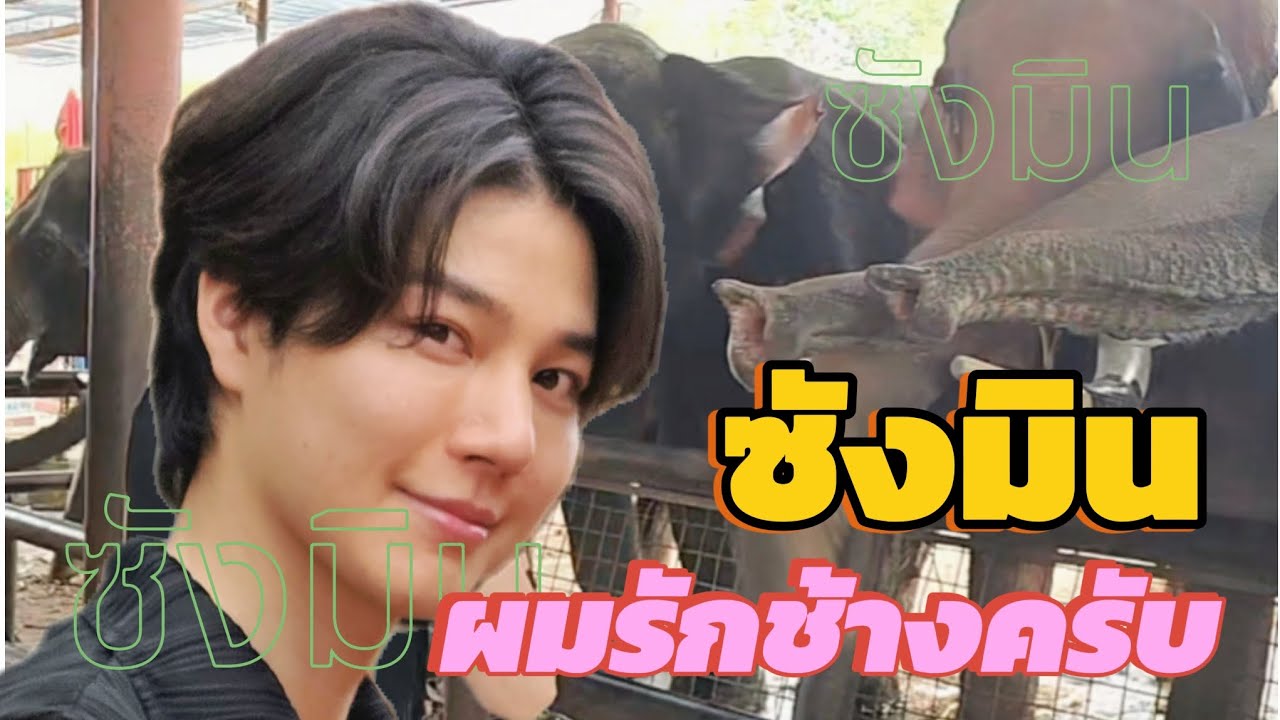 ซังมิน ผมรักช้างครับ / Sangmin, I love elephants!