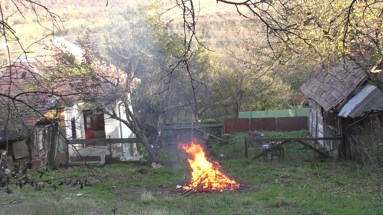 ASMR CU PETRICA DIN CIURILA