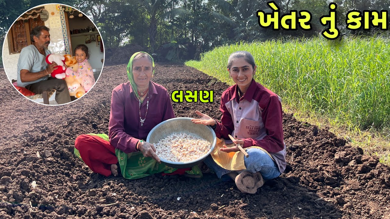 ખેતર માં સોપ્યું લસણ 😊 | Village Life 