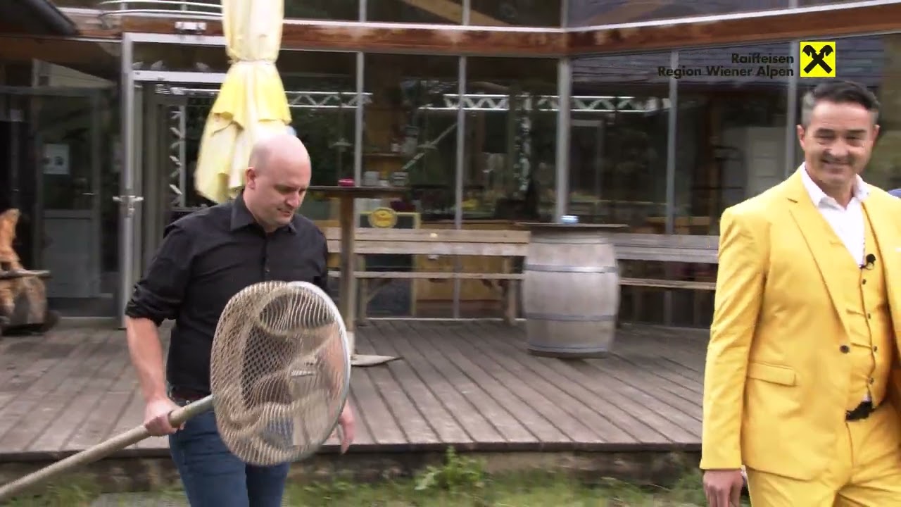 jelO-TV Wechselforelle
