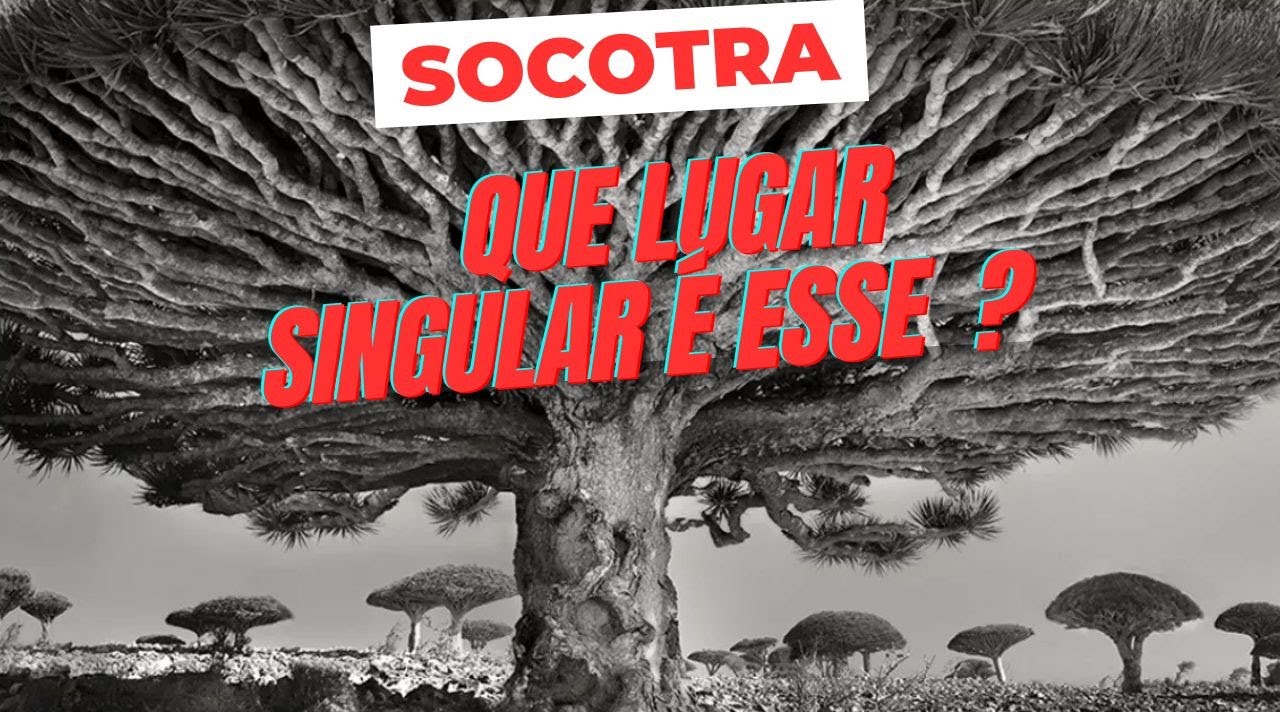 SOCOTRA | UM  LUGAR  ESTRANHO NA TERRA
