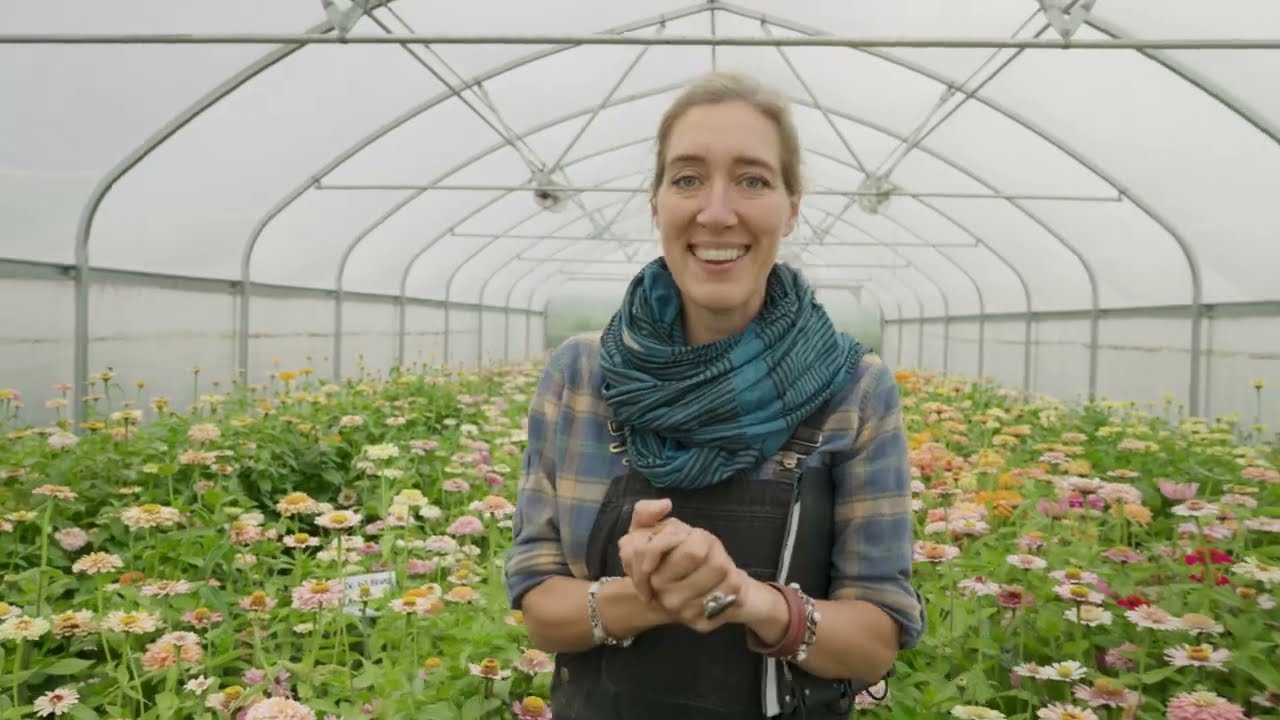 Floret Farm Tour: Breeding Program Zinnias