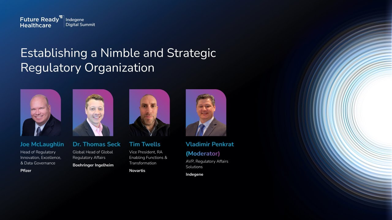 Establishing a Nimble and Strategic Regulatory Organization