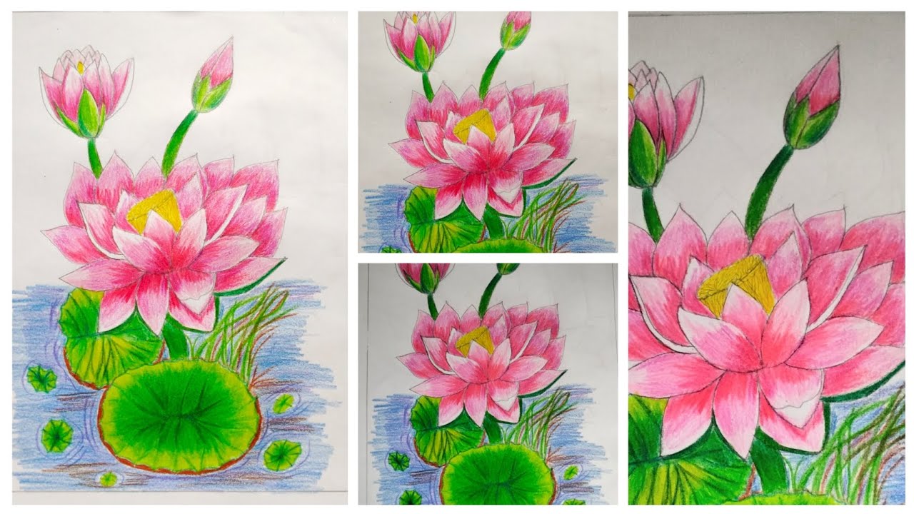 Easy Way to Draw Lotus Flower with Color Pencils . / পদ্ম ফুলের ছবি আঁকা শেখার সহজ পদ্ধতি |