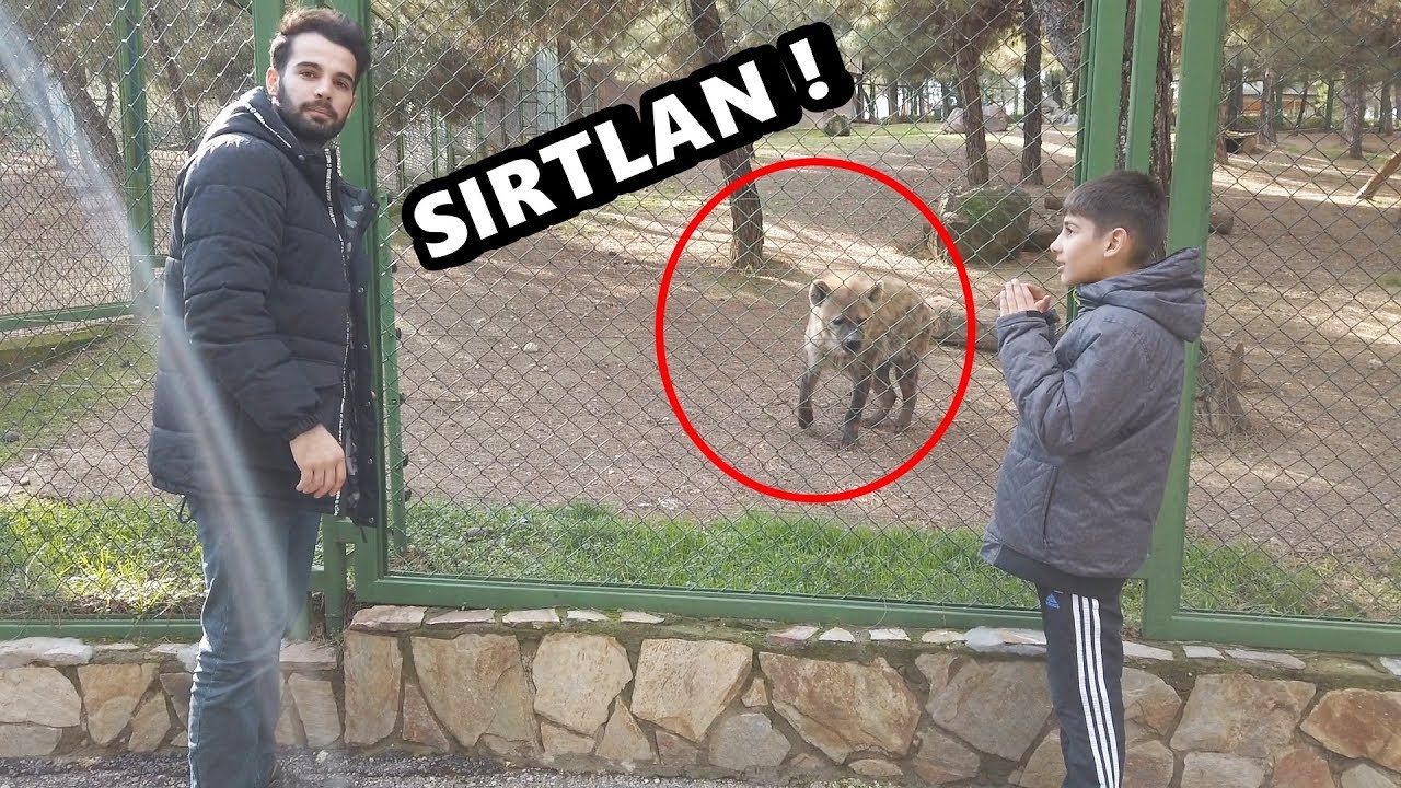 FİL BESLEDİM - HAYVAN MÜZESİNİ GEZDİM ! (YEĞENİMLE BERABER)