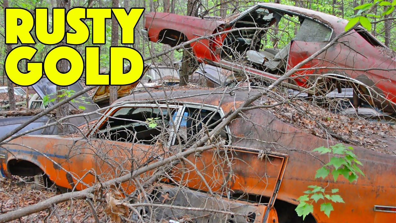 MUSCLE CARS Stuck in the WOODS Since 1972!