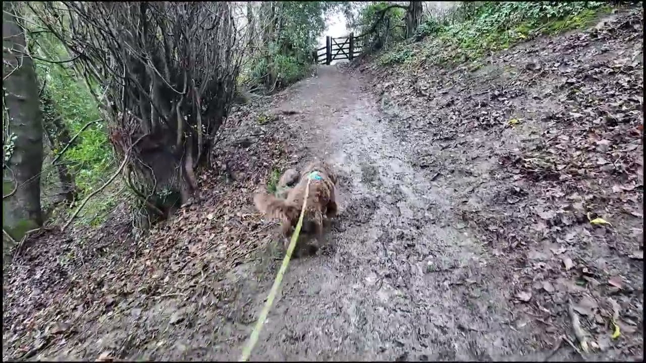 Richmond Walk pt 1