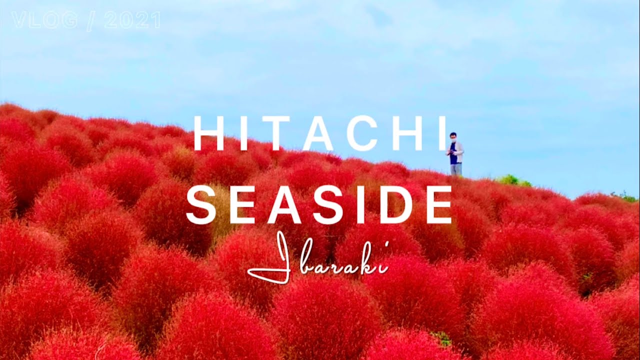 Kokia at Hitachi Seaside Park