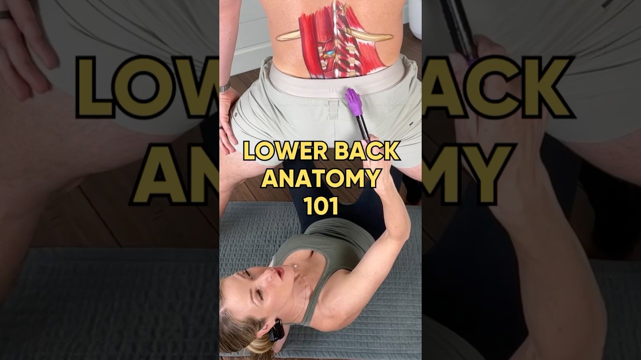 Anatomy of Lower Back Including Disc herniation and sciatica #shorts  #anatomy