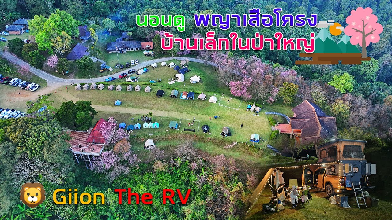 Marbel On RV จอดนอนดูดอกพญาเสือโคร่ง บ้านเล็กในป่าใหญ่ ดอยผ้าห่มปก