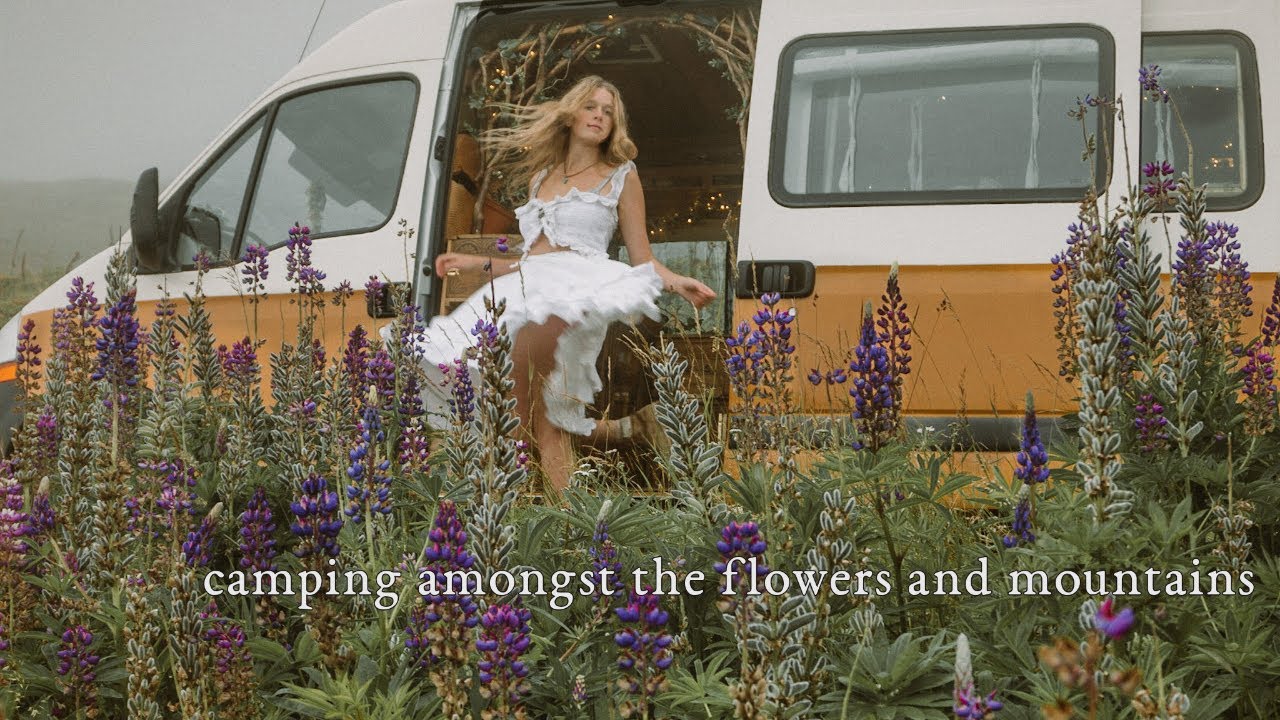 Vanlife and Foraging in the Alpine Wildflower Meadows 🌿Ep.3