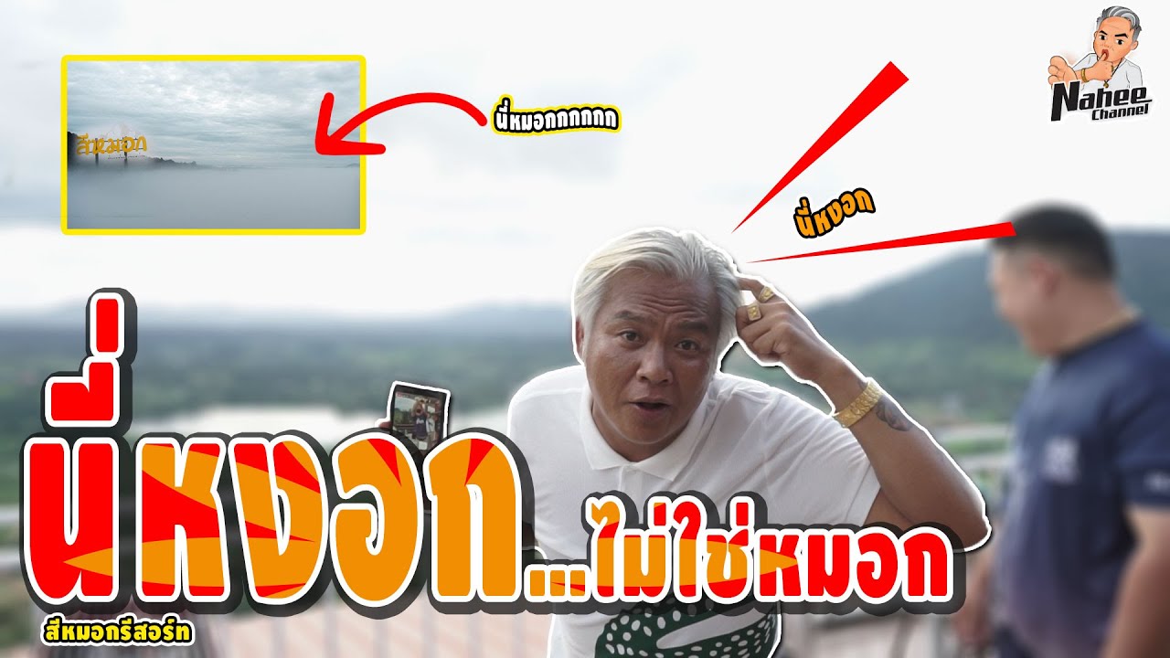 นี่ผมหงอก...ไม่ใช่หมอก [ NAHEE CHANNEL ]