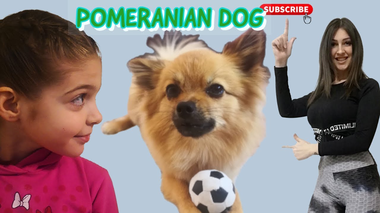Kupile smo POMERANCA