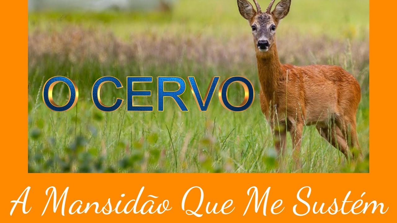 A MANSIDÃO QUE ME SUSTÉM #consciênciacyanvianai