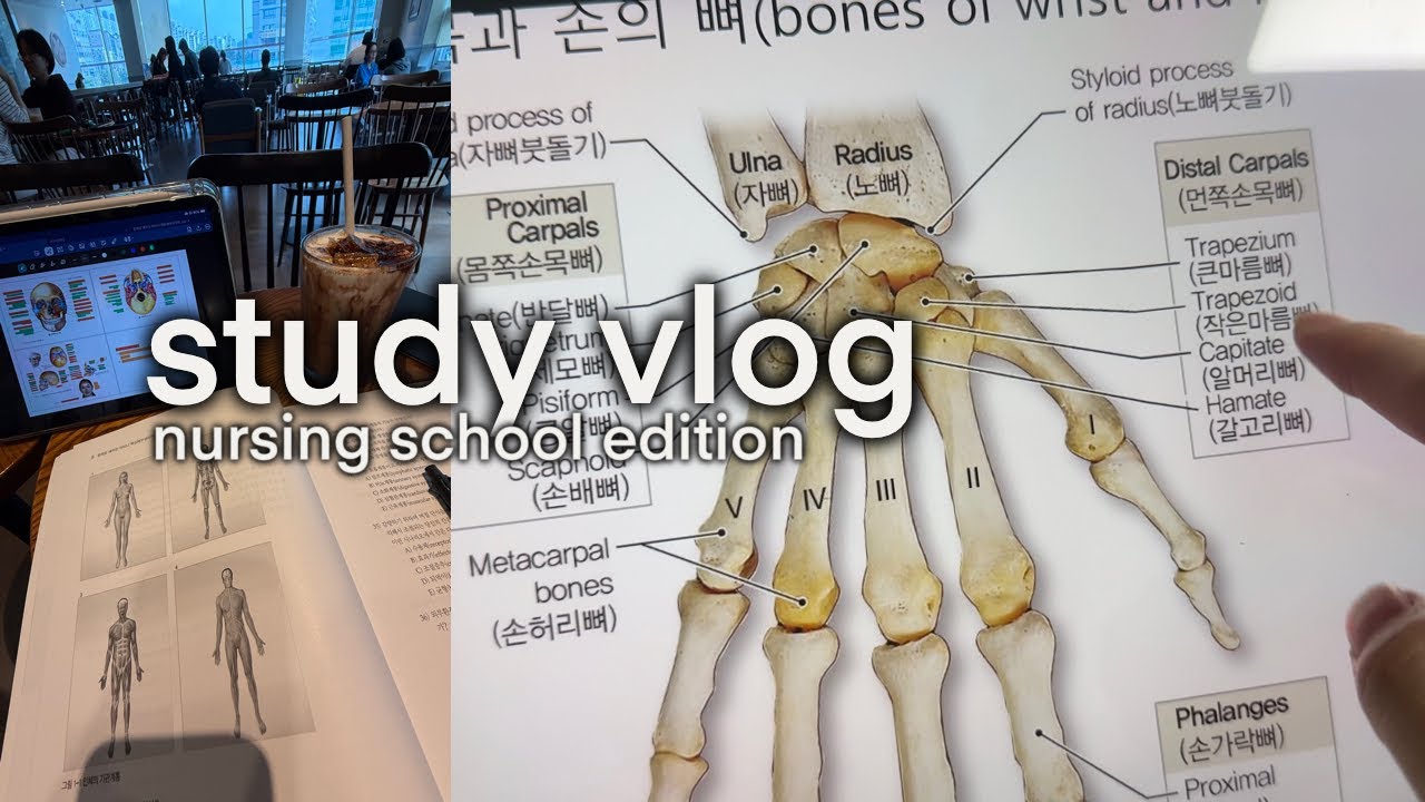 Видеоблог о подготовке к промежуточным экзаменам 📚💉: зубрежка анатомии, школа медсестёр в Корее, ...
