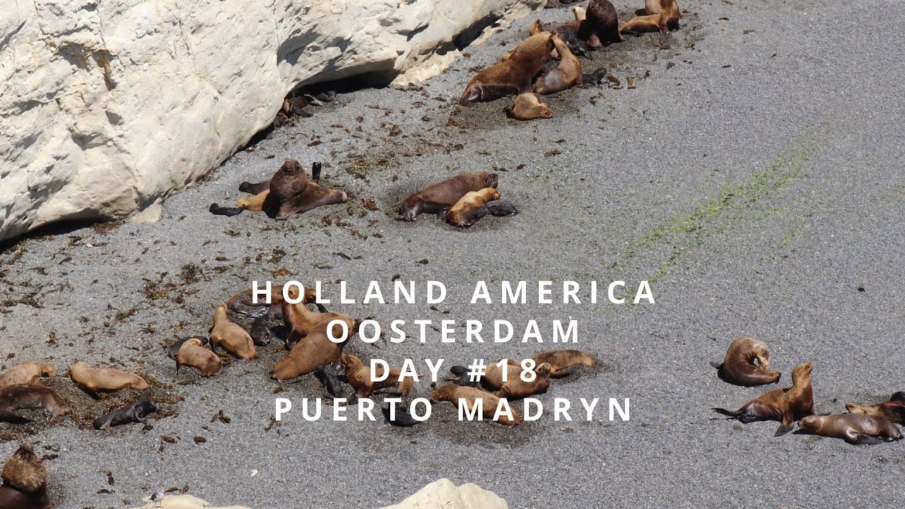 Holland America Oosterdam Day #18 Puerto Madryn