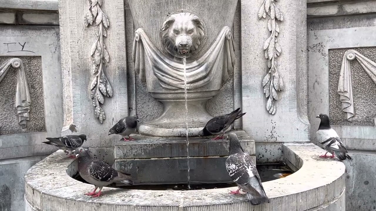 Tauben-Brunnen in Brüssel 🕊