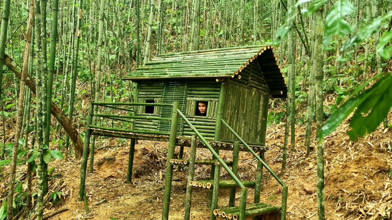 Handcrafted construction - bamboo house in the forest, beautiful & warm - Tropical forest