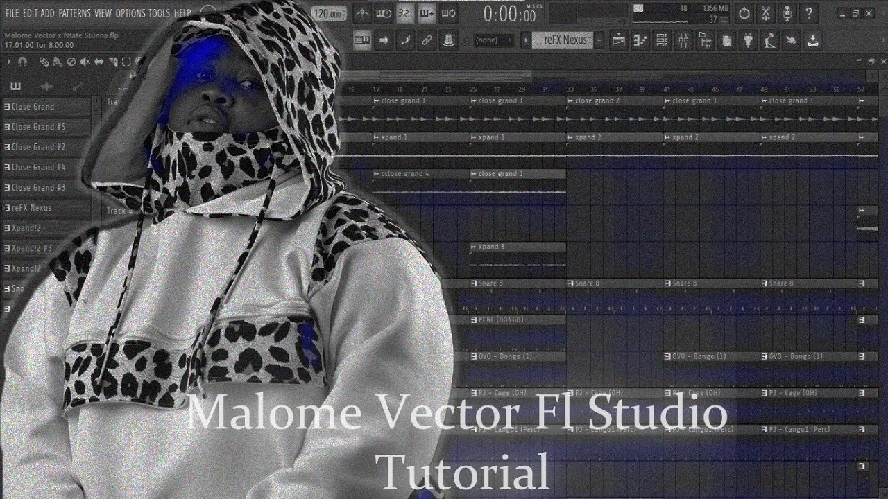 How To Make Malome Vector Type Beat in Fl Studio