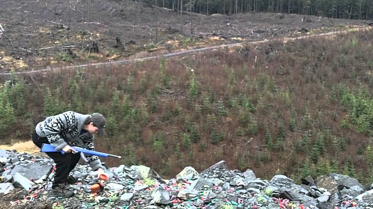 Exhibition Shooting With A 22 Rifle